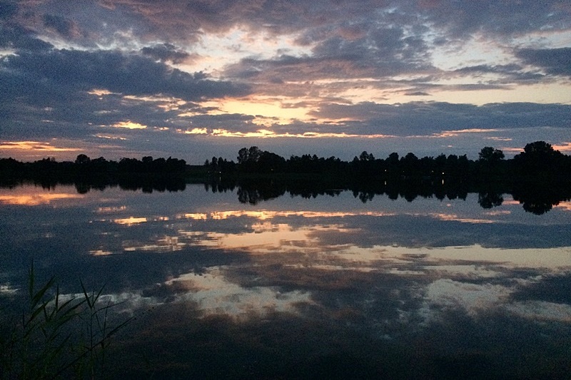 11IMG 6098